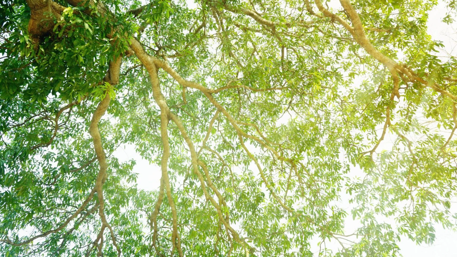 Für LESER ist Nachhaltigkeit nicht nur ein Begriff