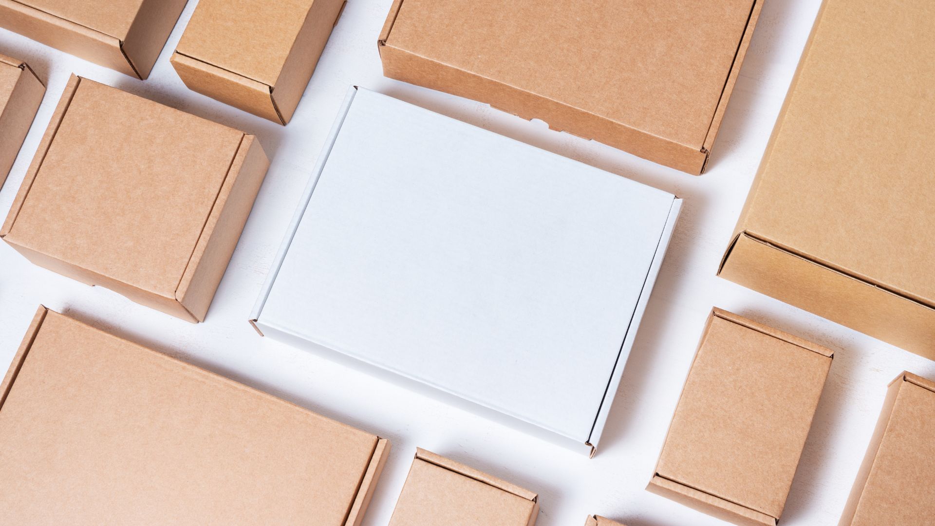 Verpackungsgesetz, die Gründe: Verpackungsgesetz, die Gründe: