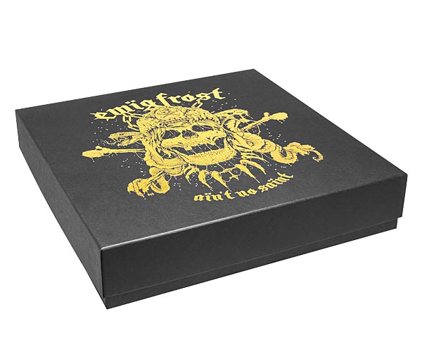 Schallplattenverpackung für Bands und Musikproduzenten